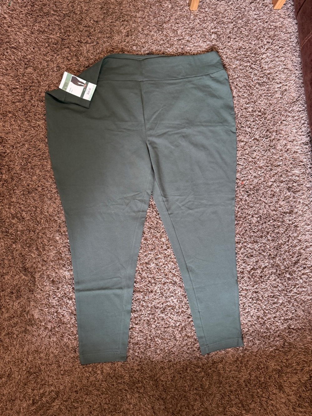 Terra & Sky Dark Olive High-Rise Ponte Leggings/E072